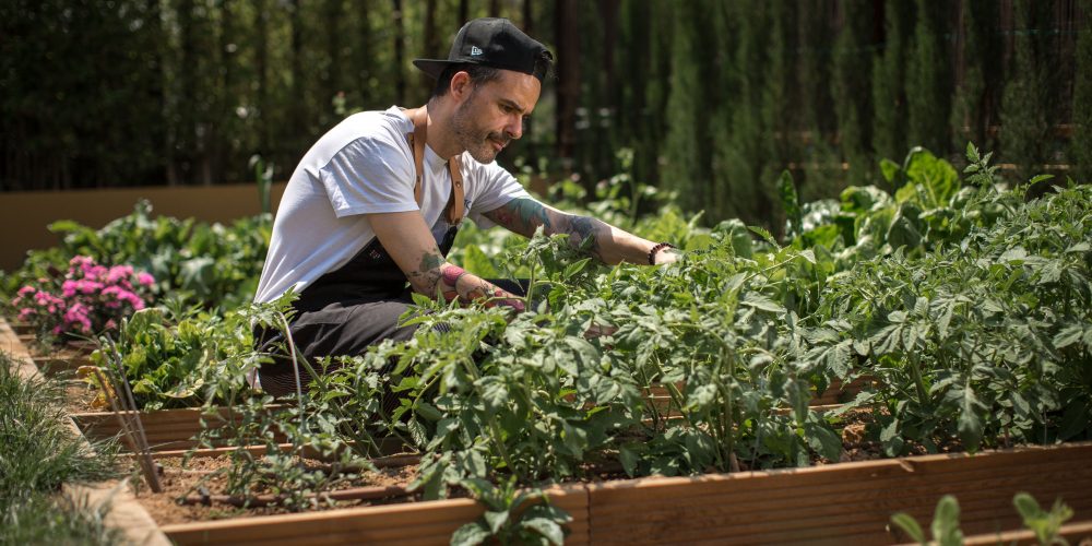 El chef Juan Llorca, nuevo fichaje para El Innovadero